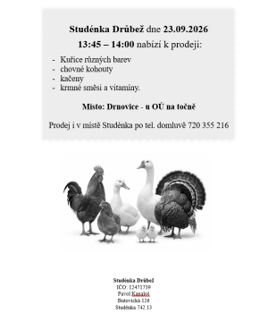 Studénka drůbež - prodej 1